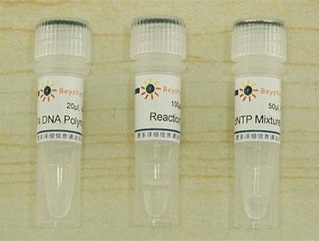 DNA末端平滑试剂盒